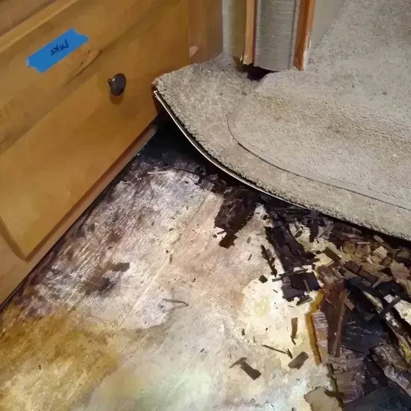 Wood Floor Water Damage in Green Valley, MD